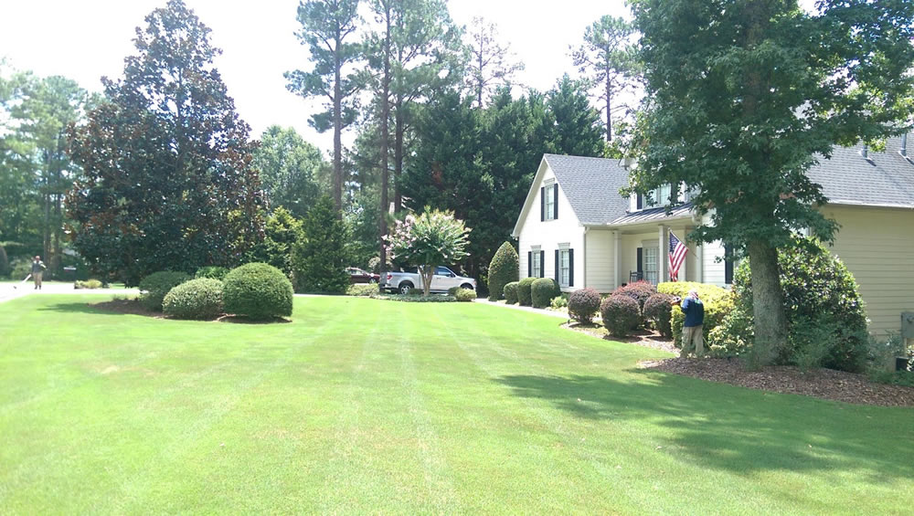 Absolute Lawn Pros, Inc.