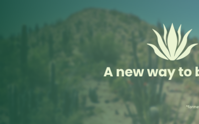 Renew Wellness Studio
