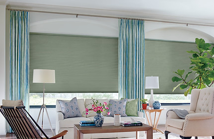 Factory Rep Blinds