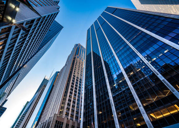 Lotus Consulting and Law PLLC