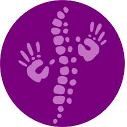 Renaud Chiropractic Clinic