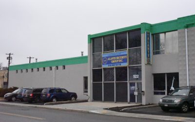 Alante Security Group Inc