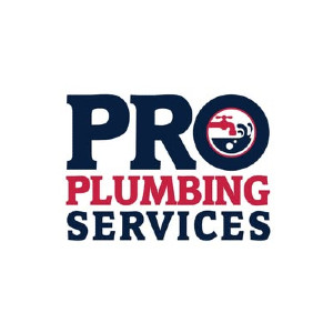 Pro Plumbing Services