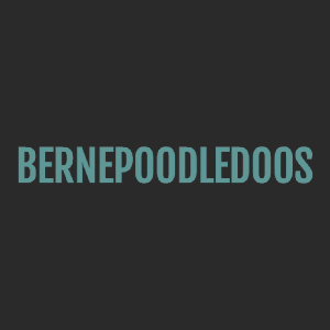 BernePoodleDoos